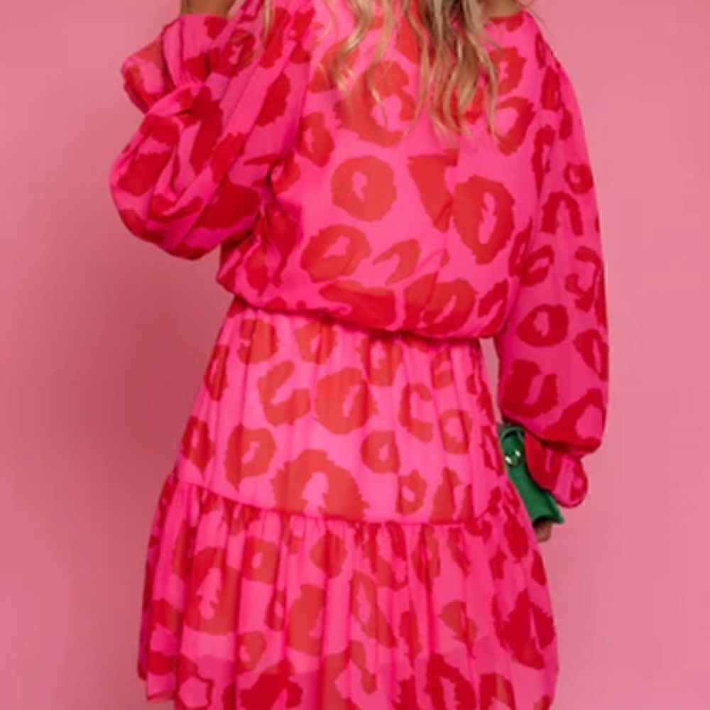 Rose Leopard Print Flounce Mini Dress - Picture 6 of 6